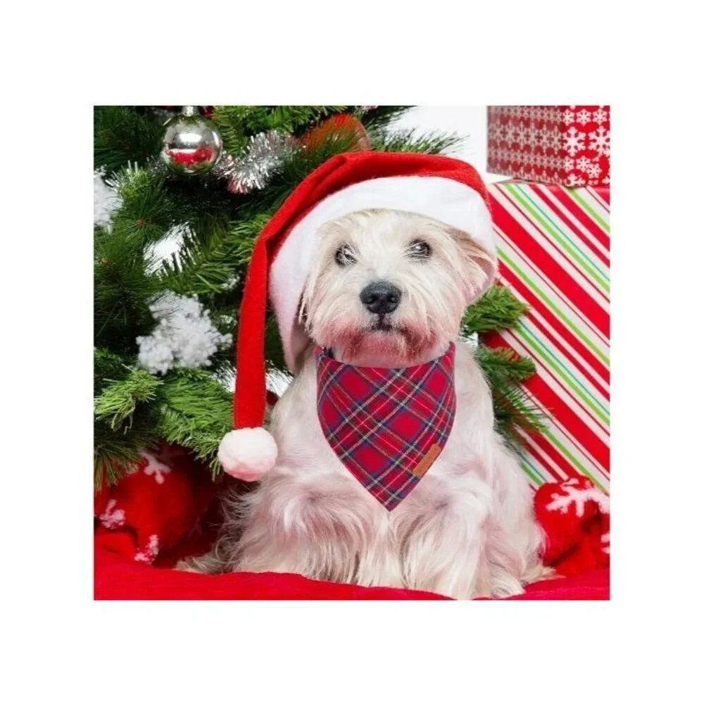 Christmas Dog Bandana 2 Pack, Stylish Plaid Pet Scarf, Premium Cotton, Small